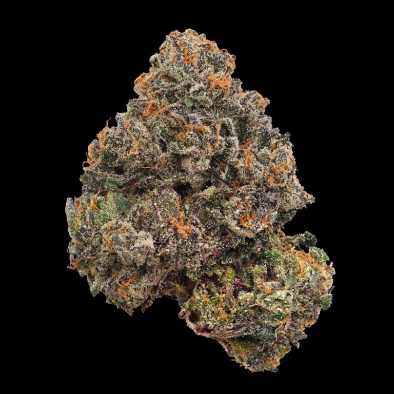 Gruntz_Black