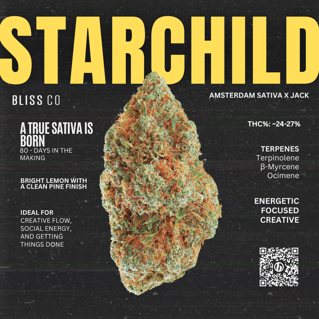 STARCHILD_Retail Display