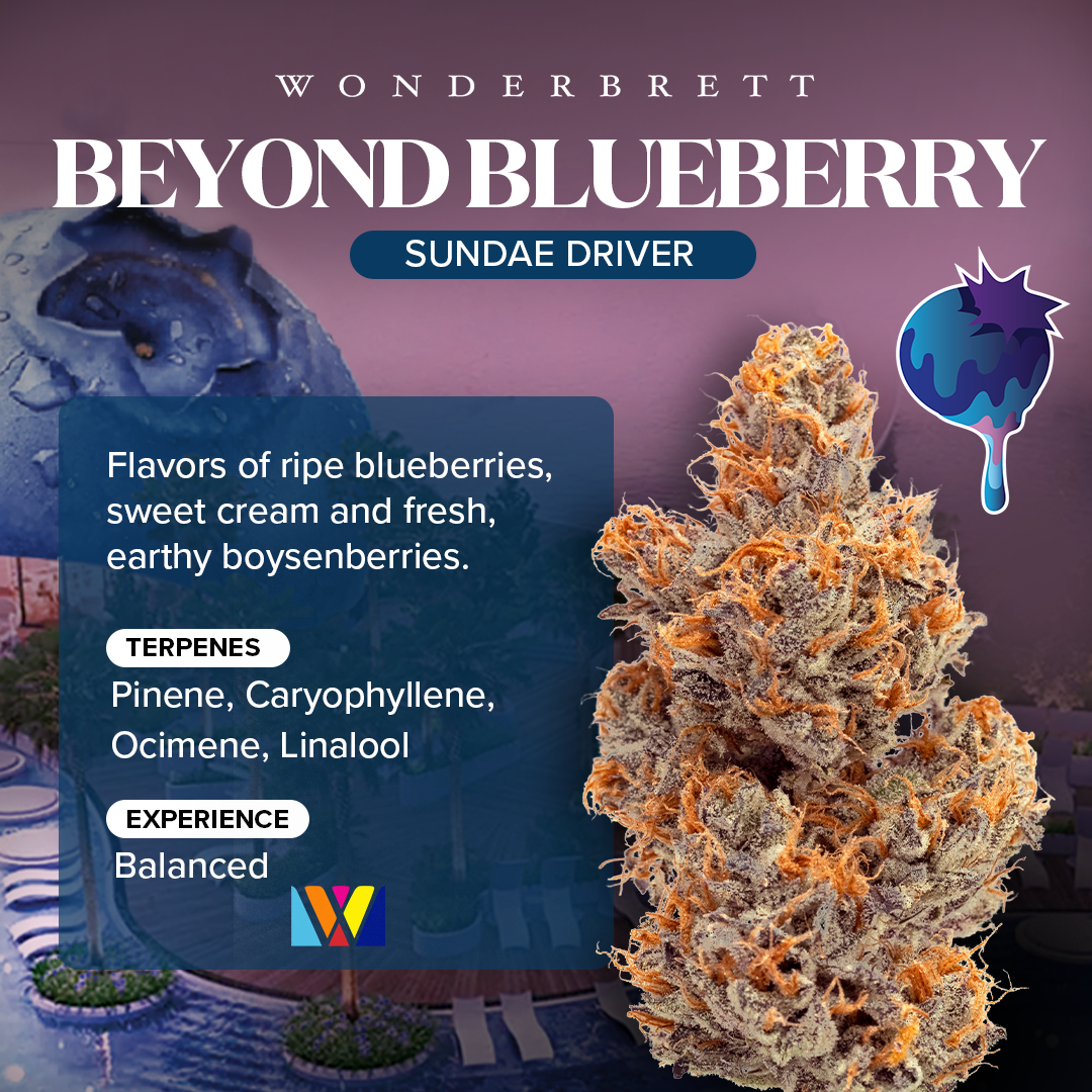 Strain-Card-Menu-Image-BeyondBlueberry_1080x1080 (1)
