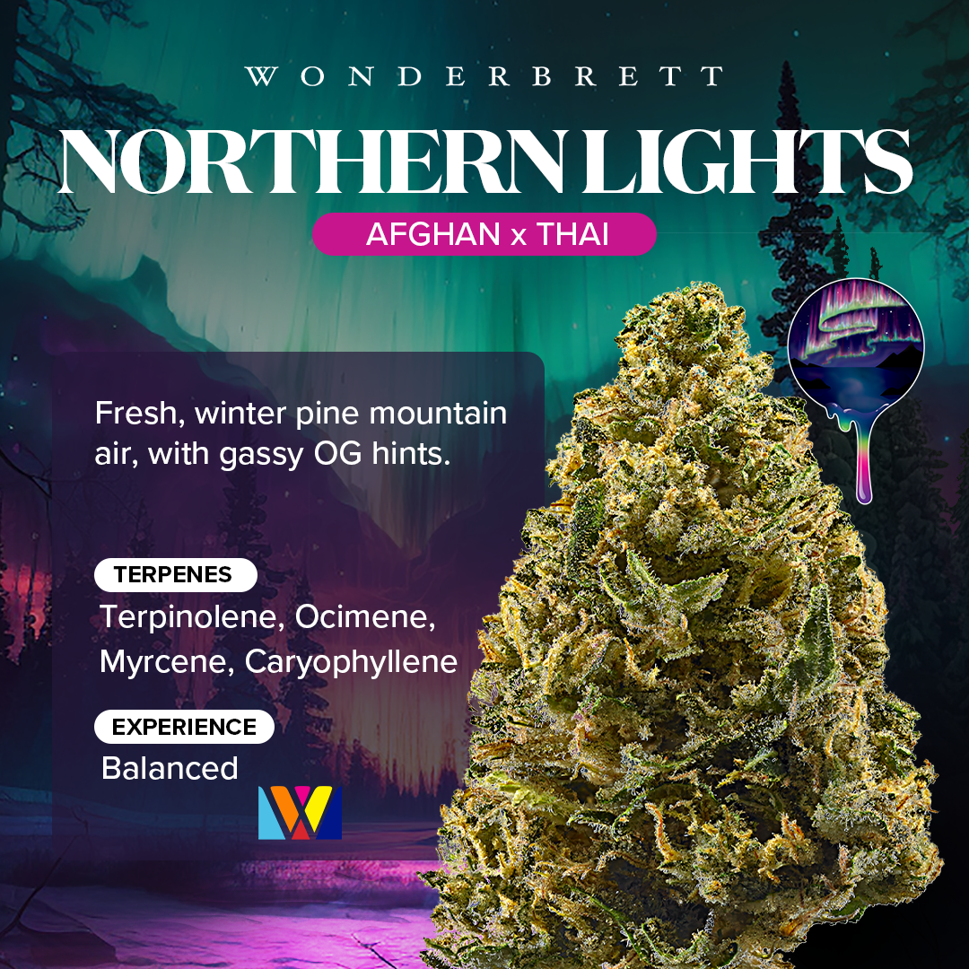 Strain-Card-Menu-Image-NorthernLights_1080x1080