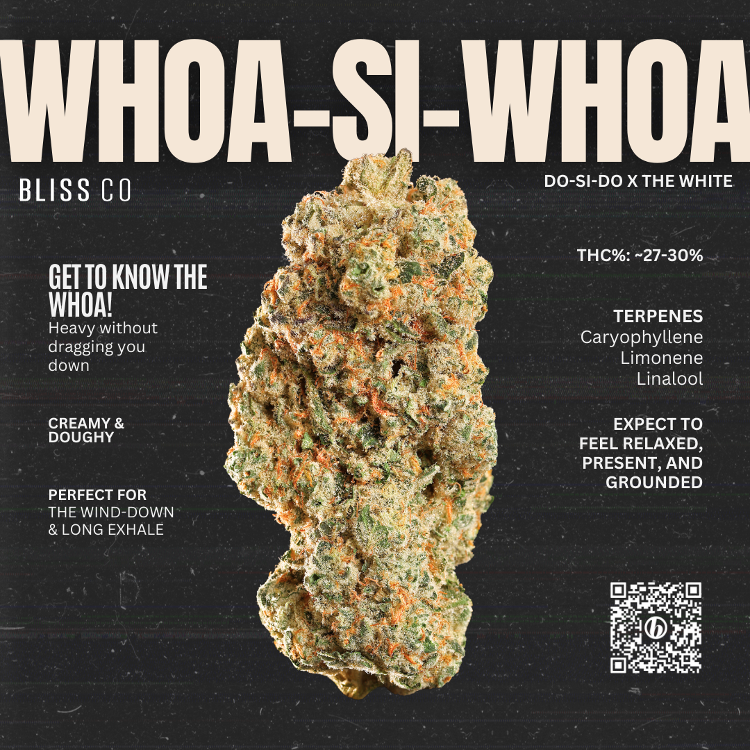 WHOA-SI-WHOA_Retail Display